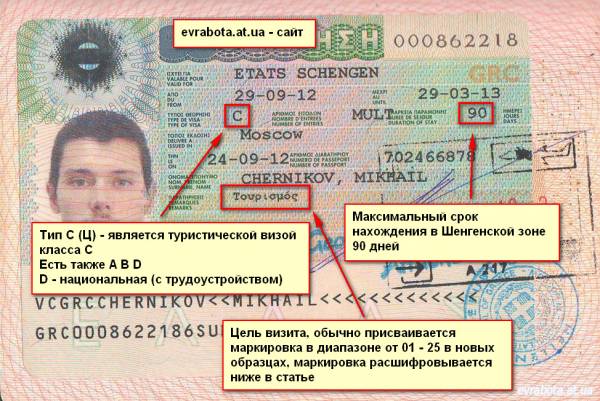 пример образец шенгенской визы 2016